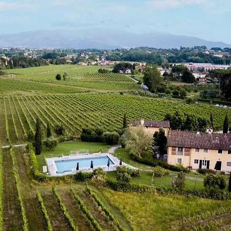 Apartment Maria In Wine In Lucca