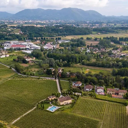 Maria In Wine In Lucca